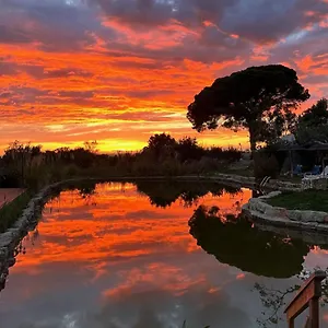 https://oasis-camp-portugal.hotelaalgarve.com